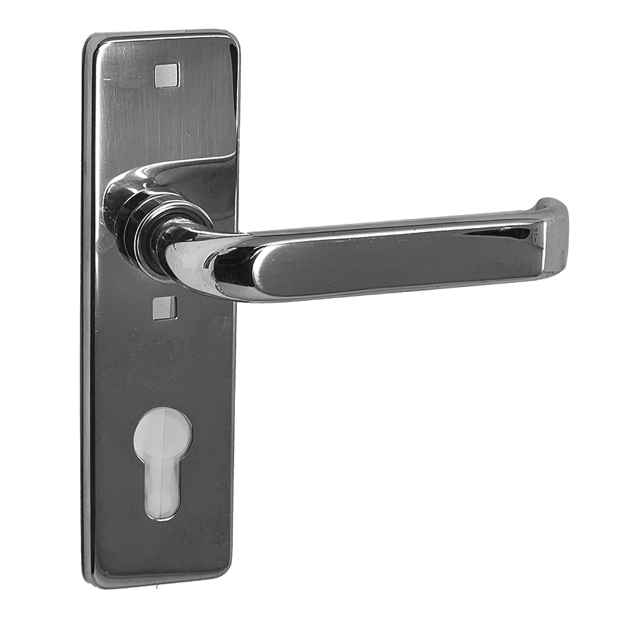 GSV Schwepper and S&B Trim Set for Mortise Locks with Keyway
